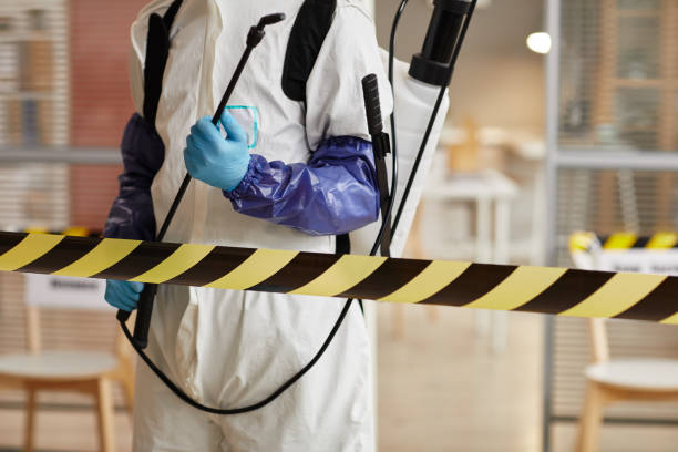 Professional Sewage Cleanup technician working in Westwood, MI